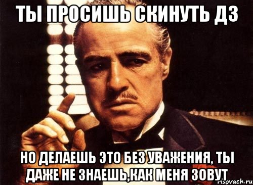 Ты просишь скинуть дз Но делаешь это без уважения, ты даже не знаешь,как меня зовут, Мем крестный отец