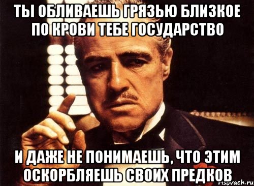 ты обливаешь грязью близкое по крови тебе государство и даже не понимаешь, что этим оскорбляешь своих предков, Мем крестный отец