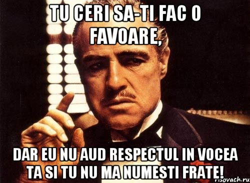 Tu ceri sa-ti fac o favoare, dar eu nu aud respectul in vocea ta si tu nu ma numesti frate!, Мем крестный отец