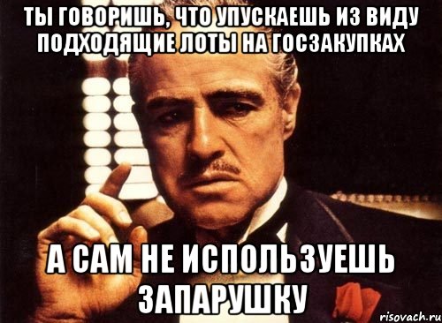 Ты говоришь, что упускаешь из виду подходящие лоты на госзакупках А сам не используешь Запарушку, Мем крестный отец