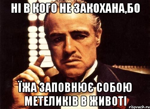 ні в кого не закохана,бо їжа заповнює собою метеликів в животі, Мем крестный отец