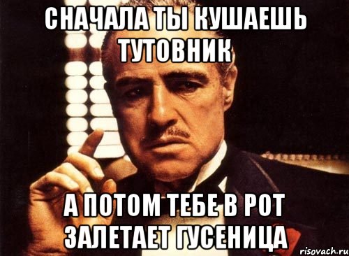 Сначала ты кушаешь тутовник а потом тебе в рот залетает гусеница, Мем крестный отец