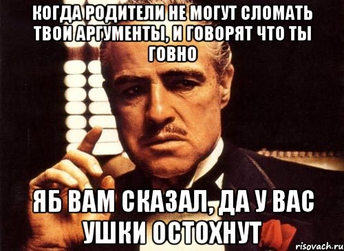 Когда родители не могут сломать твои аргументы, и говорят что ты говно Яб вам сказал, да у вас ушки остохнут