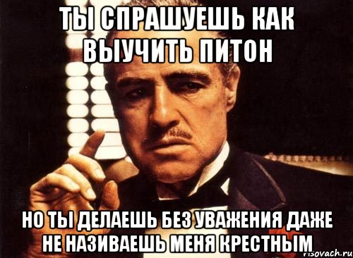 Ты спрашуешь как выучить питон но ты делаешь без уважения даже не називаешь меня крестным