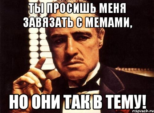 ты просишь меня завязать с мемами, но они так в тему!
