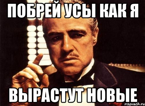 побрей усы как я вырастут новые