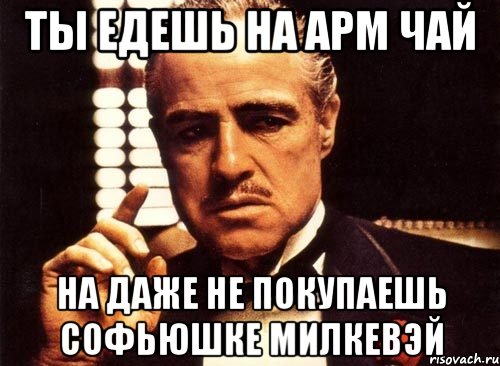 ты едешь на арм чай на даже не покупаешь софьюшке милкевэй
