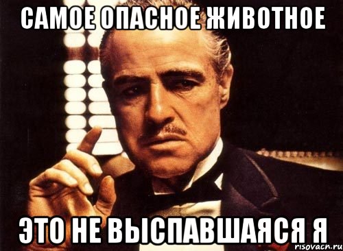самое опасное животное это не выспавшаяся я