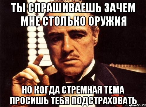 ты спрашиваешь зачем мне столько оружия но когда стремная тема просишь тебя подстраховать