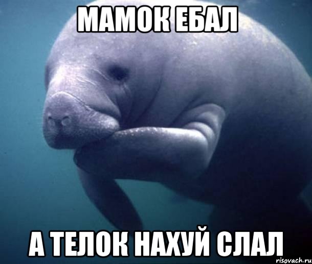Мамок ебал а телок нахуй слал
