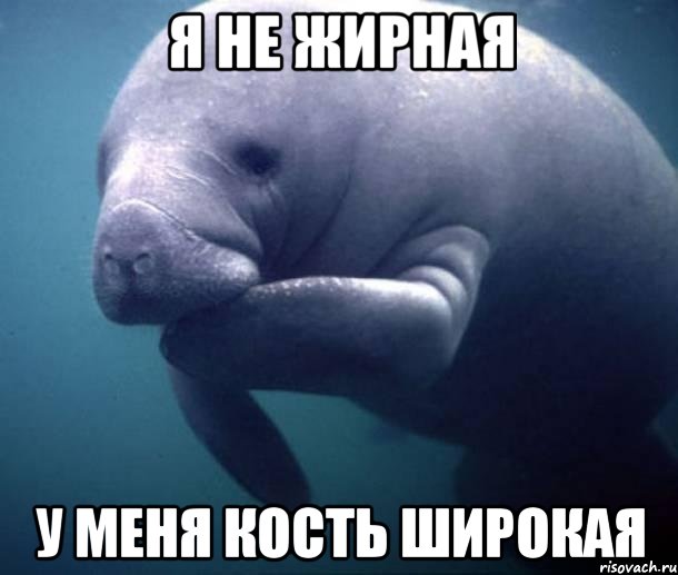 Я не жирная У меня кость широкая