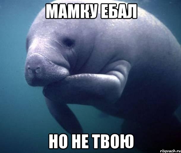 Мамку ебал но не твою