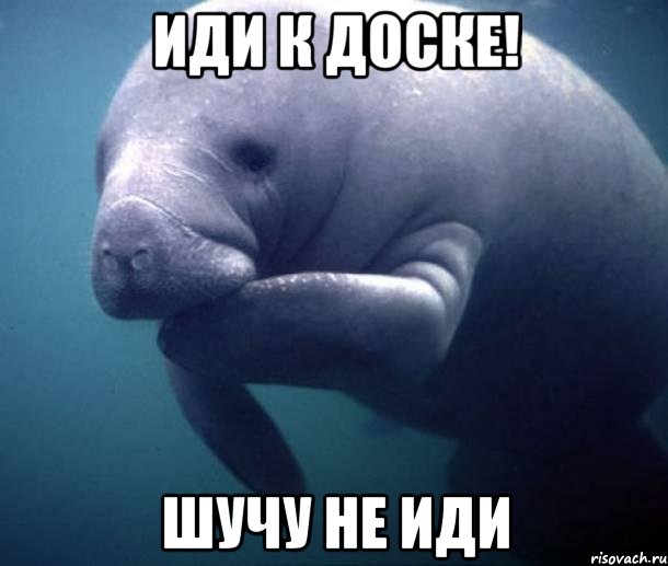 Иди к доске! Шучу не иди