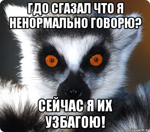 Гдо сгазал что я ненормально говорю? Сейчас я их узбагою!, Мем лемур