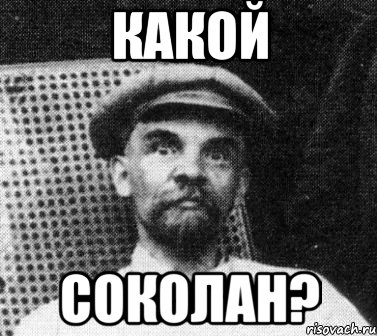 какой Соколан?, Мем   Ленин удивлен