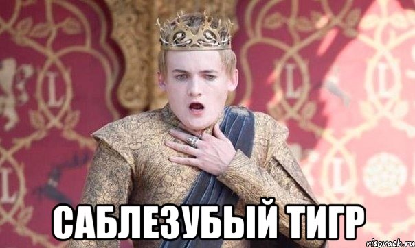  Саблезубый тигр