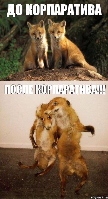 До корпаратива после корпаратива!!!, Комикс Лисицы