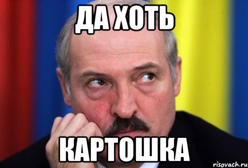 да хоть картошка, Мем Лукашенко