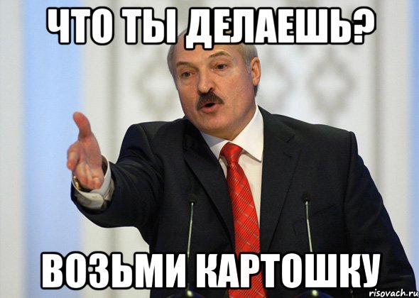 Что ты делаешь? возьми картошку, Мем лукашенко