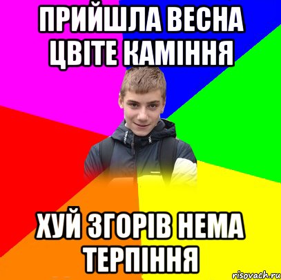 ПРИЙШЛА ВЕСНА ЦВІТЕ КАМІННЯ ХУЙ ЗГОРІВ НЕМА ТЕРПІННЯ