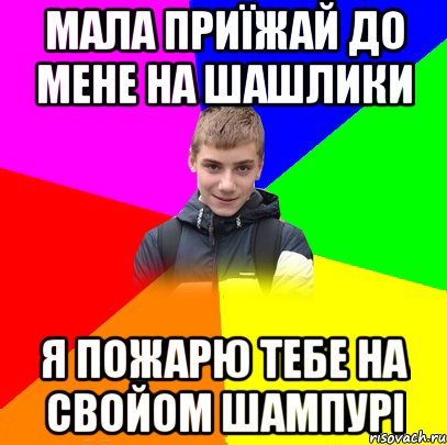 МАЛА ПРИЇЖАЙ ДО МЕНЕ НА ШАШЛИКИ Я ПОЖАРЮ ТЕБЕ НА СВОЙОМ ШАМПУРІ