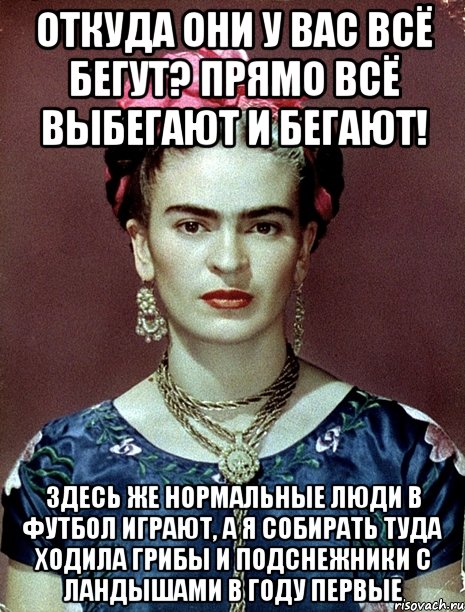 Откуда они у вас всё бегут? Прямо всё выбегают и бегают! Здесь же нормальные люди в футбол играют, а я собирать туда ходила грибы и подснежники с ландышами в году первые