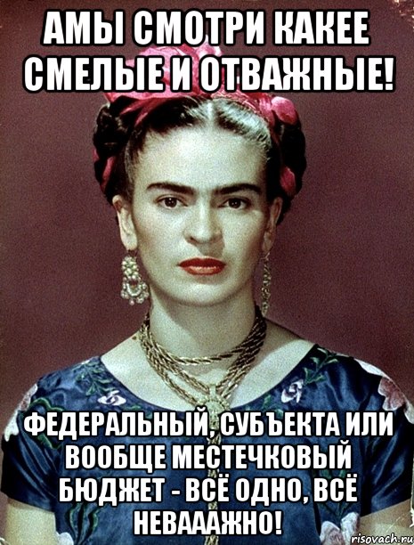 АМЫ смотри какее смелые и отважные! Федеральный, субъекта или вообще местечковый бюджет - всё одно, всё невааажно!