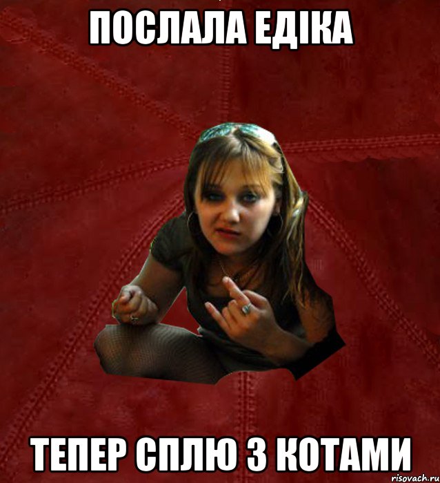 послала едіка тепер сплю з котами