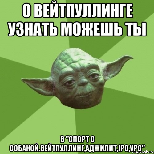 О вейтпуллинге узнать можешь ты В "Спорт с собакой.Вейтпуллинг,аджилит,IPO,VPG", Мем Мастер Йода