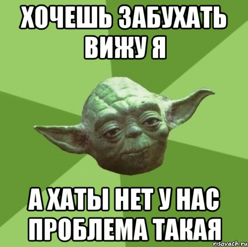 хочешь забухать вижу я а хаты нет у нас проблема такая, Мем Мастер Йода