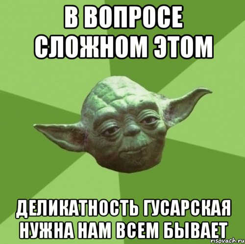 В вопросе сложном этом деликатность гусарская нужна нам всем бывает, Мем Мастер Йода
