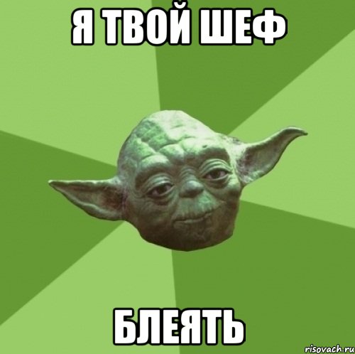 Я твой шеф Блеять, Мем Мастер Йода