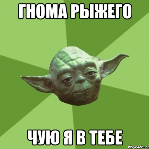 Гнома рыжего Чую я в тебе, Мем Мастер Йода