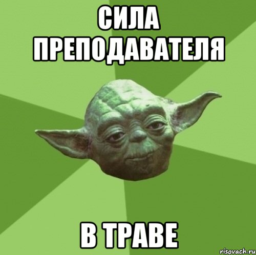 Сила преподавателя В траве, Мем Мастер Йода