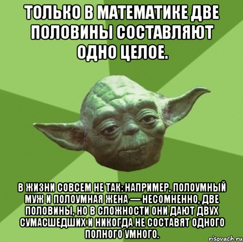 Только в математике две половины составляют одно целое. В жизни совсем не так: например, полоумный муж и полоумная жена — несомненно, две половины, но в сложности они дают двух сумасшедших и никогда не составят одного полного умного., Мем Мастер Йода