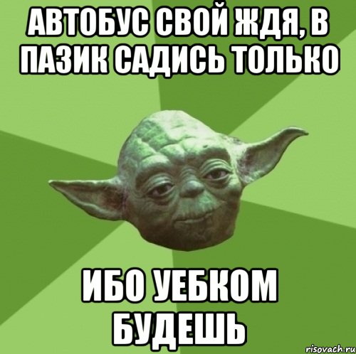 Автобус свой ждя, в Пазик садись только Ибо уебком будешь, Мем Мастер Йода