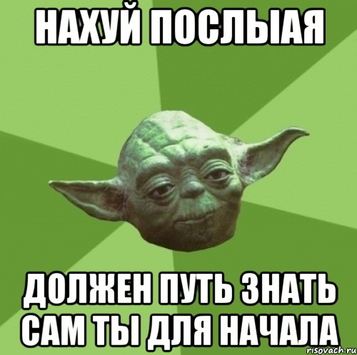 Нахуй послыая должен путь знать сам ты для начала, Мем Мастер Йода