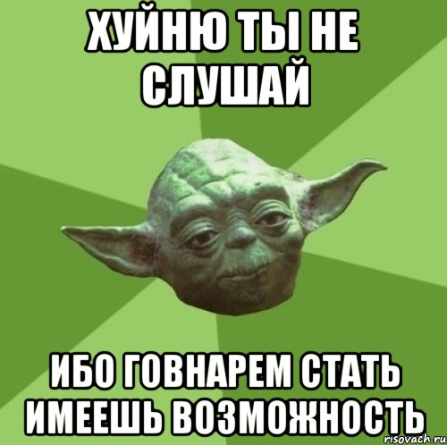 Хуйню ты не слушай Ибо говнарем стать имеешь возможность, Мем Мастер Йода