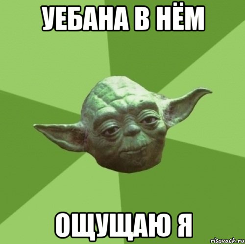 уебана в нём ощущаю я, Мем Мастер Йода