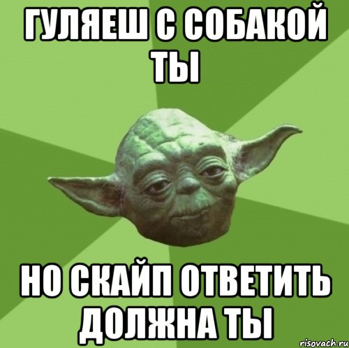 ГУЛЯЕШ С СОБАКОЙ ТЫ НО СКАЙП ОТВЕТИТЬ ДОЛЖНА ТЫ, Мем Мастер Йода