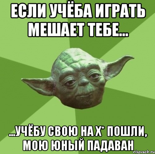 Если учёба играть мешает тебе... ...учёбу свою на х* пошли, мою юный падаван, Мем Мастер Йода
