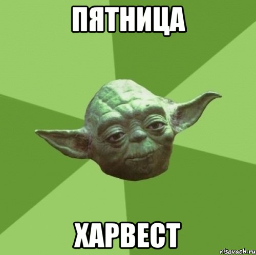 Пятница ХАРВЕСТ, Мем Мастер Йода