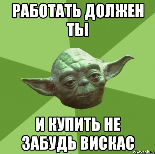 Работать должен ты И купить не забудь вискас, Мем Мастер Йода
