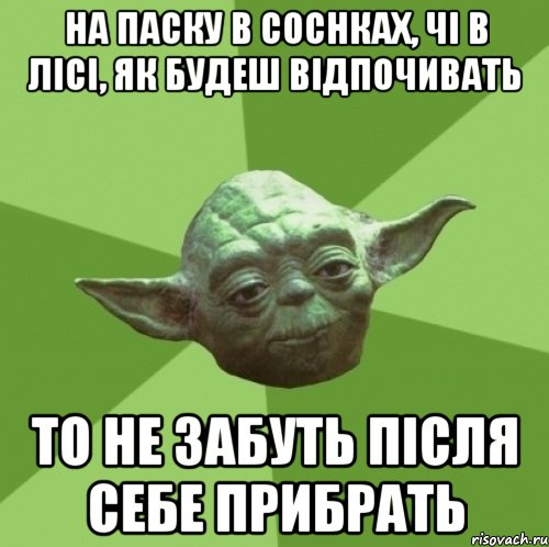 На Паску в соснках, чі в лісі, як будеш відпочивать то не забуть після себе прибрать, Мем Мастер Йода