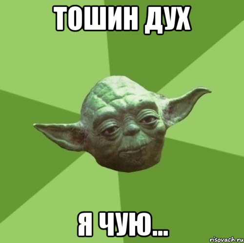 ТОшин дух я чую..., Мем Мастер Йода