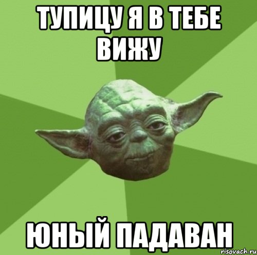 тупицу я в тебе вижу юный падаван, Мем Мастер Йода