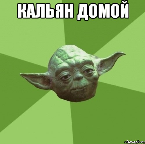Кальян домой , Мем Мастер Йода