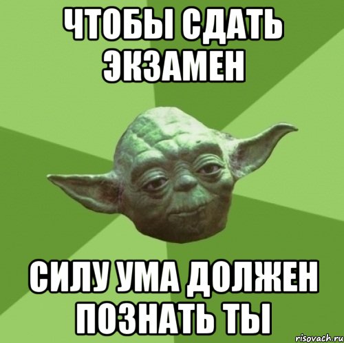 чтобы сдать экзамен силу ума должен познать ты, Мем Мастер Йода