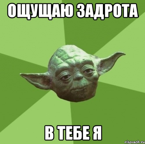 ощущаю задрота в тебе я, Мем Мастер Йода