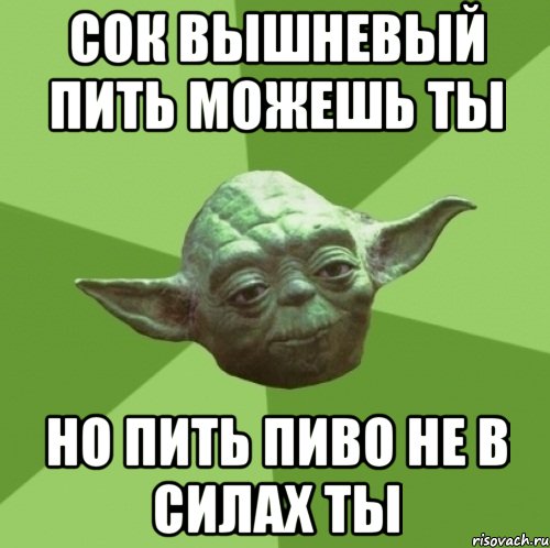 Сок вышневый пить можешь ты но пить пиво не в силах ты, Мем Мастер Йода